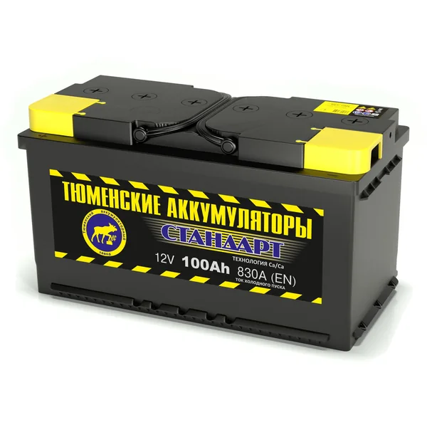 Аккумулятор ТЮМЕНСКИЕ АККУМУЛЯТОРЫ Standard 100 Ач 830 А (EN), обратная полярность, LN5